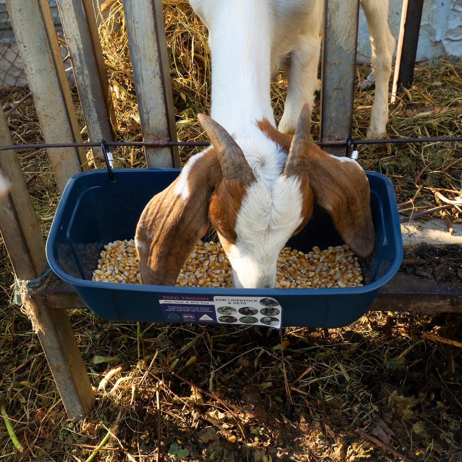 Comprehensive 2 Pack 9 Quart Livestock Feeders: Versatile & Safe Design