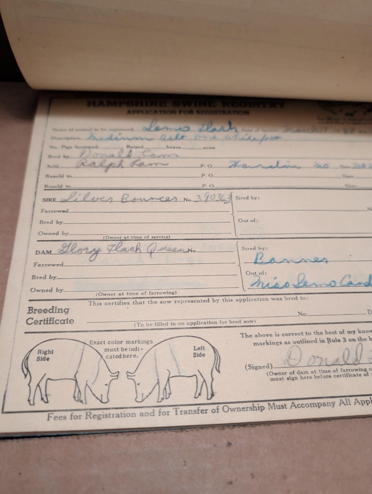 Vintage 1947 1948 Hampshire Swine Registry With Filled In Registars