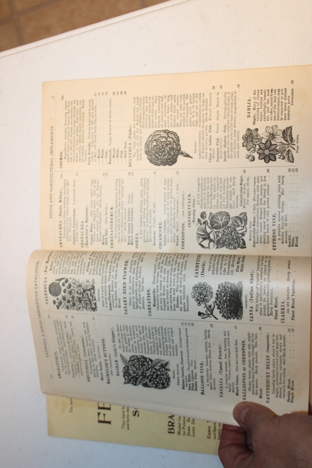 Vtg 1904 Advertising Catalog Caldwell & Jones Seeds & Agricultural Implements