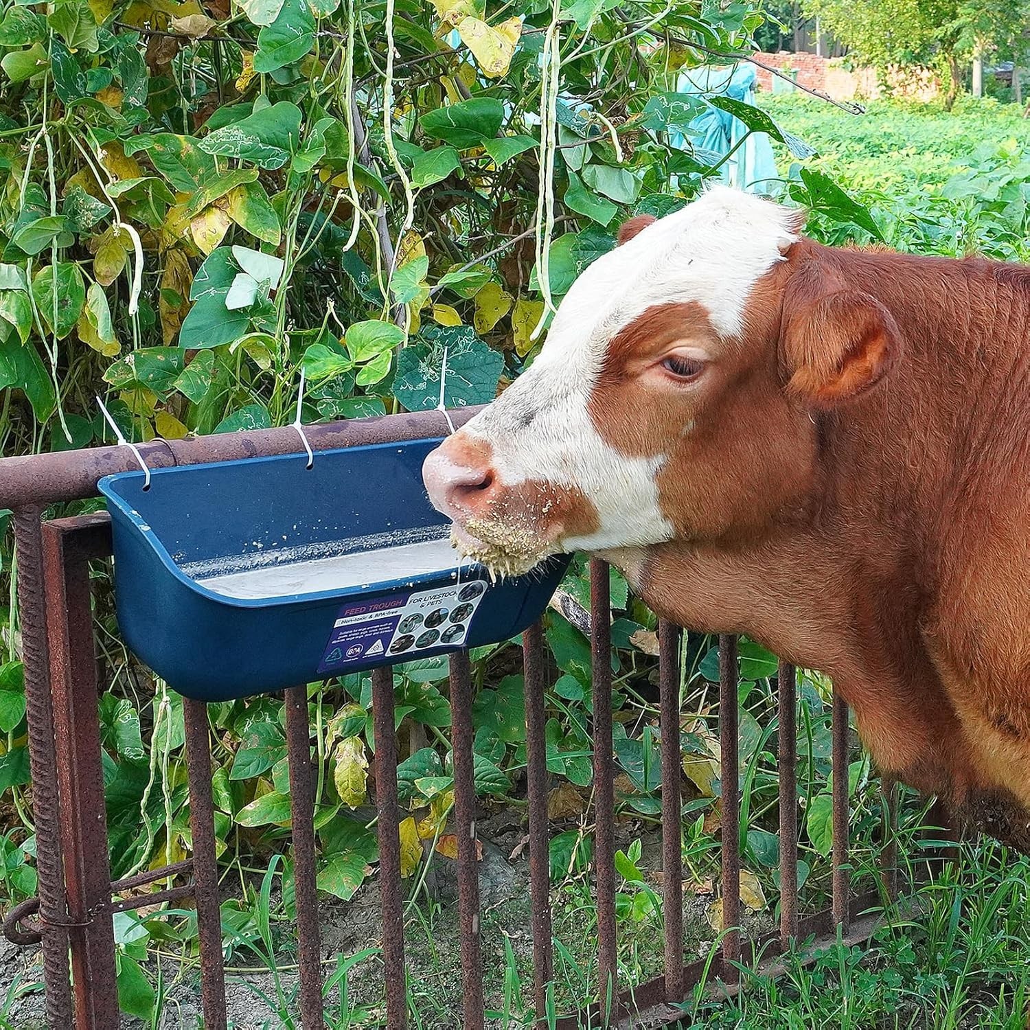 Comprehensive 2 Pack 9 Quart Livestock Feeders: Versatile & Safe Design