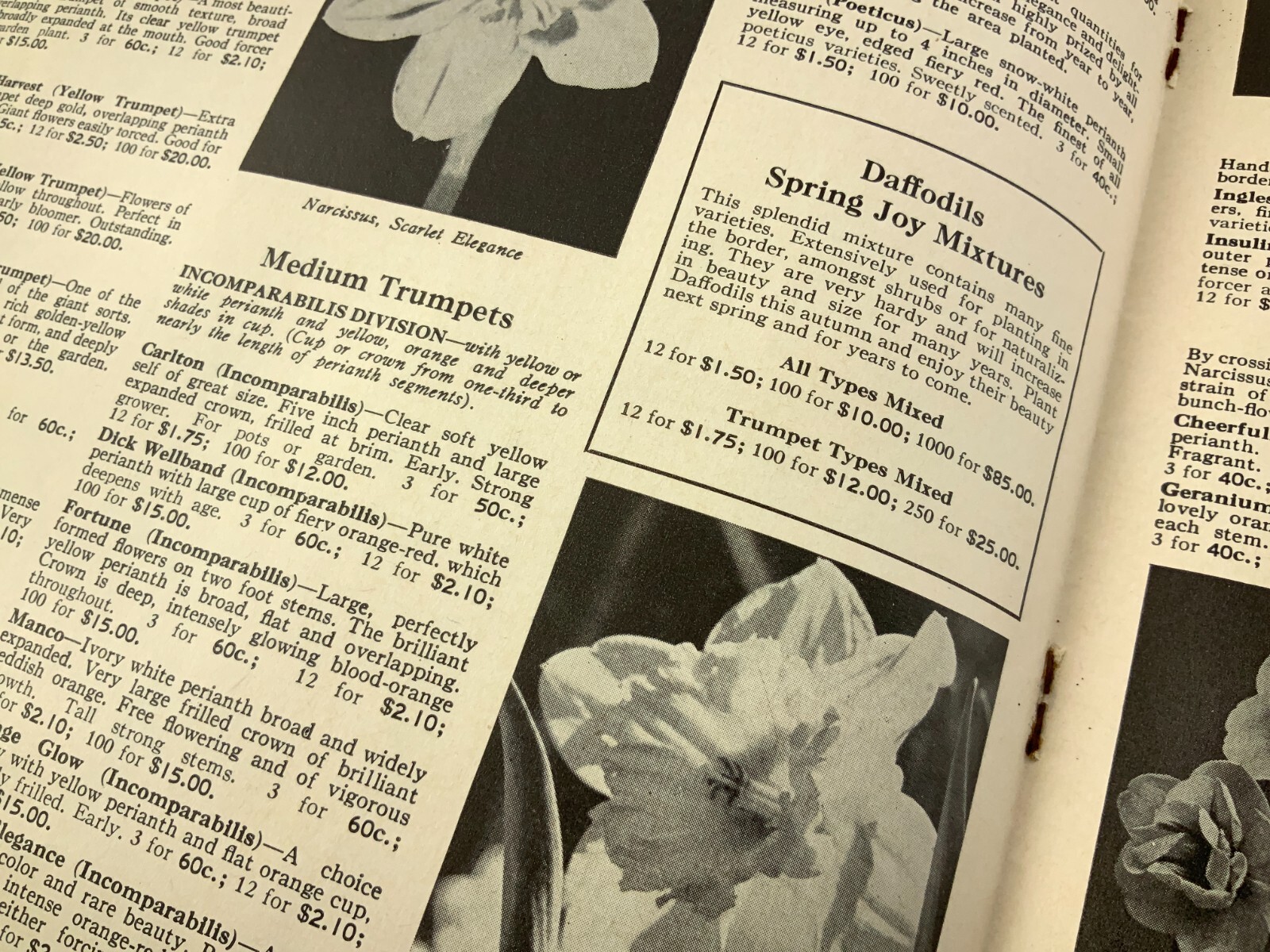 McDonald’s Seeds Plants Bulbs Catalogue Fall 1961 Catalog Ottawa Canada EE630
