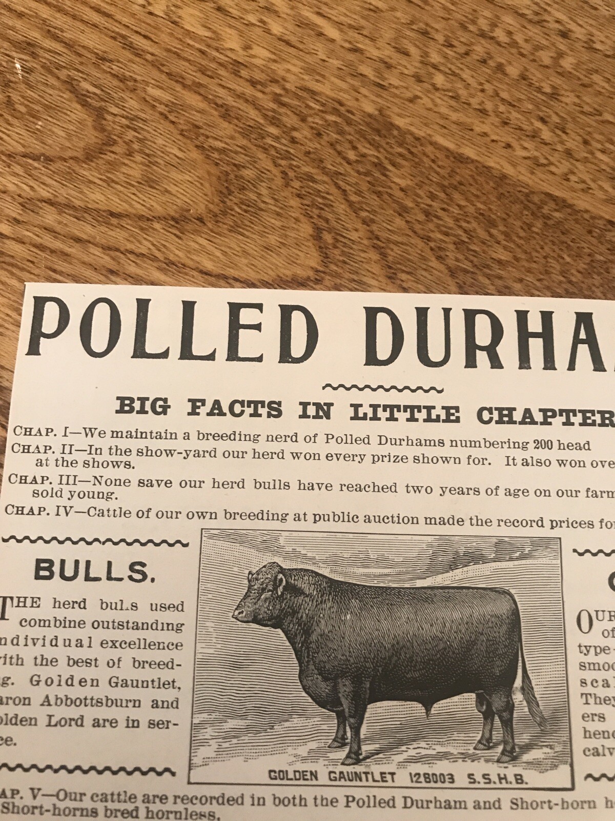 1903 J.H. Miller Cattle Cow Advertising – Peru – Indiana