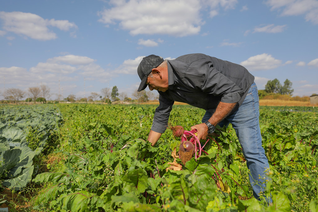 O que é agricultura tropical e por que ela importa